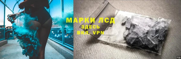 крисы Тында