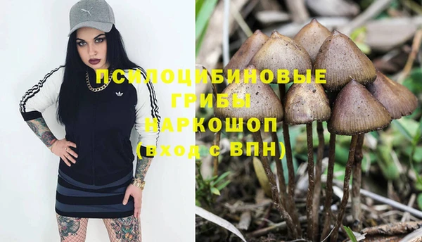 соль курить ск Арсеньев