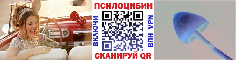 наркошоп  Нижний Новгород  Галлюциногенные грибы прущие грибы 