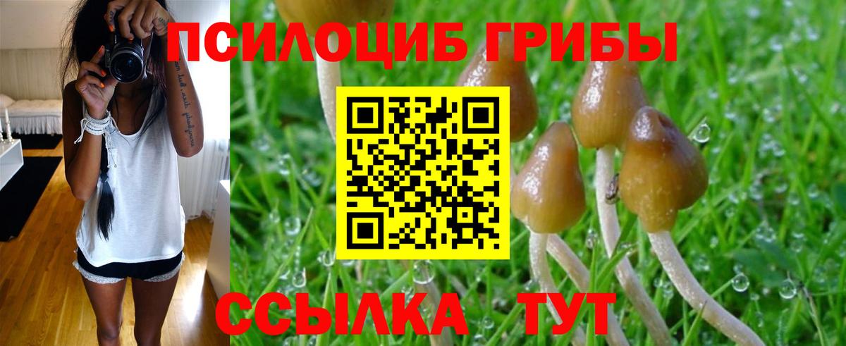 Галлюциногенные грибы MAGIC MUSHROOMS  Вход с VPN  Нижний Новгород 