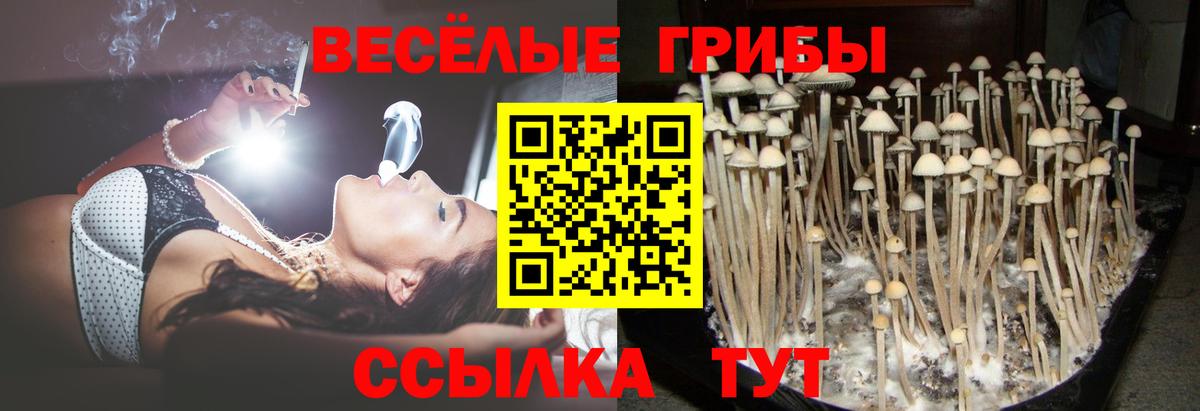 Меф Нижний Новгород